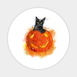 Black Cat Jack O Lantern Magnet